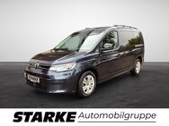 VW Caddy, 2.0 TDI Maxi Family, Jahr 2024 - Lotte