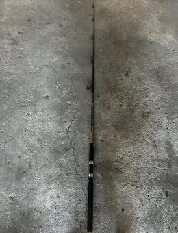 Guinness Spinnrute 210cm Schwarz 10-30g - Langenfeld (Rheinland)