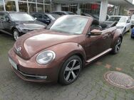 VW Beetle Cabriolet Allstar - Bergkamen