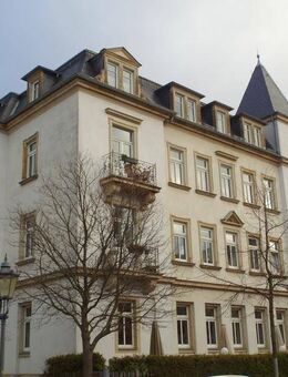 Ab Mitte August 2025: Schöne Wohnung mit separater Küche, neuem Bad mit Dusche & Minibalkon - Dresden