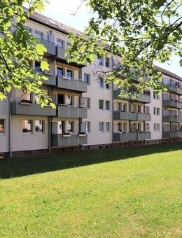 Zu viel Trubel? Entdecken Sie das ruhige Flemminggebiet - Chemnitz