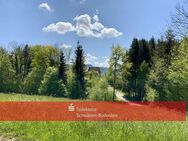 Maisonnette Wohnung im Allgäu Nähe Bodensee - Sigmarszell