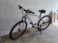 Fahrrad/Mountenbike - Essen