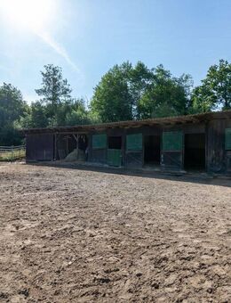 Pferdeliebhaber aufgepasst. Einfamilienhaus mit Reitanlage und Pferdeboxen - Krautheim (Baden-Württemberg)