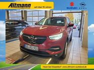 Opel Grandland X, Business Edition DIESEL Business Edition DIESEL einparken, Jahr 2021 - Haan