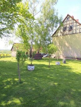 In Feldrandlage: Mehrgenerationen-Hof für Selbstversorgung und Tierhaltung - Katlenburg-Lindau