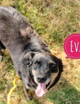 Eva ein wundervoller Schatz - Mannheim