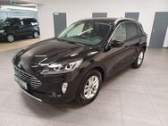 Ford Kuga Titanium X 1.5 EcoBoost - Bad Oeynhausen