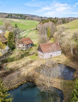 Idyllisches Kleinod - auch für Pferdeliebhaber - Salem (Baden-Württemberg)