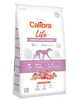 Calibra Life Junior Large Breed Lamm - Sparpaket: 2 x 12 kg
