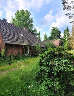 Viel Ruhe und viel zu tun! Einfamilienhaus mit Nebengebäude auf idyllischen Grundstück - Apen