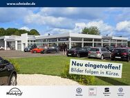 VW Golf, 1.0 TSI VII, Jahr 2018 - Enger (Widukindstadt)