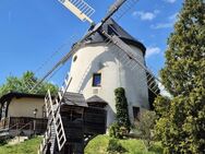 DRESDEN: Sanierte Holländerwindmühle mit nachgefragtem Restaurantbetrieb - Dresden
