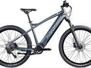 AGON E-Bike Mountainbike Alpha, 10 Gang Deore SGS T6000 Schaltwerk, Kettenschaltung, Heckmotor, 540 Wh, Pedelec, Elektrofahrrad für Damen u. Herren, MTB
