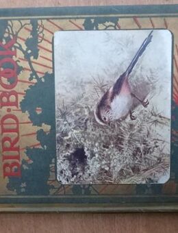 The Bird Book , W. Foster / May Byron / New Edition , Hodder & Stoughton 1910 , Buch - Berlin