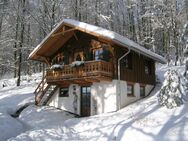 Ferienhaus im alpenländischen Stil - Willingen (Upland)