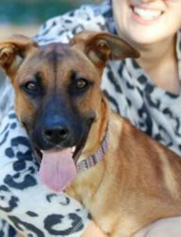 Ceci sucht ihre für immer Familie! - Krefeld