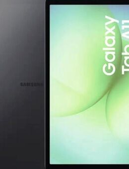 Samsung Galaxy Tab 11 SM-X130 Gray - Flintsbach (Inn)