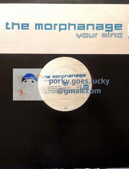 The Morphanage – Your Mind 199812" Vinyl Trance, Breaks - München Bogenhausen
