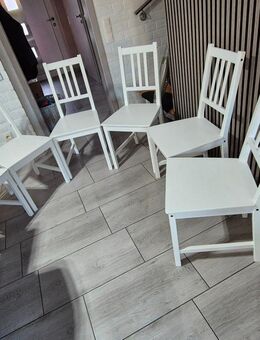 6 Ikea ,,Stefan" Stühle - Übach-Palenberg