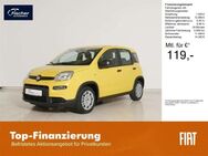 Fiat Panda, 1.0 GSE Hybrid, Jahr 2024 - Pilsach