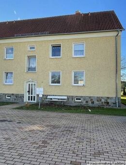 komplett saniert, großer Garten- einfach traumhaft - Ohorn