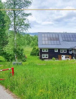 Schwarzwaldhaus im Naturschutzgebiet - Sonnenlage - Breitnau