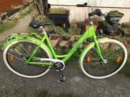 Triumph Moderne 7 * Damenfahrrad * Farbe: lime-sw * Citybike * Rahmenhöhe 54 - Bad Münder (Deister)