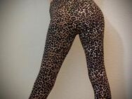 Leggings Leoparden-Look - Detmold
