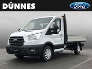 Ford Transit, 350 L2 Trend Pritschenwagen, Jahr 2022 - Regensburg