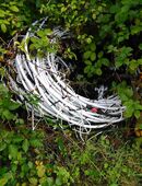 Bewässerungsschlauch, 50 M, mit Auslassschläuchen in 56588