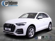 Audi Q5, 45 TFSI quattro advanced, Jahr 2021 - Brandis