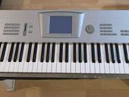 TRINITY pro Korg 76 Tasten - Schwäbisch Gmünd