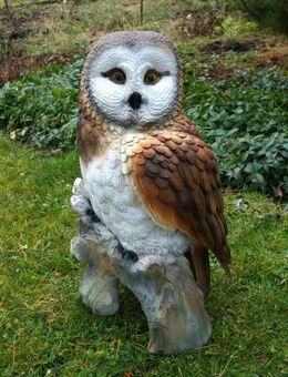 Eule Schleiereule aus Polyresin Deko für Haus und Garten NEU - Hergisdorf
