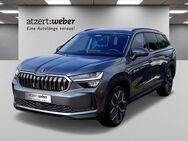 Skoda Kodiaq, 2.0 TDI Selection, Jahr 2024 - Schlüchtern