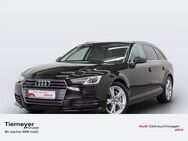 Audi A4 3.0 TDI Q SPORT AHK PANO NAVI ALCANTARA - Bochum