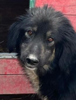 Wer hilft FREDERIC ins Leben? - Neuberg