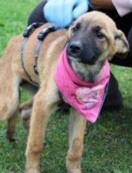 Sofie freut sich auf dich - München