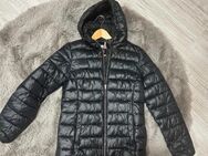 Tommy Hilfiger Jacke neu - Halle (Saale)