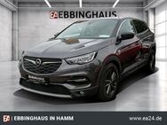 Opel Grandland, Opel 2020 -----Mehrzonenklima-Musikstreaming, Jahr 2020 - Hamm