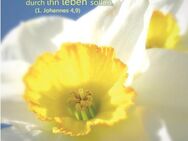 Poster Ostern A1 - Narzissenblüte II - Christliches Oster-Plakat - Edition Katzenstein - Wilhelmshaven Zentrum