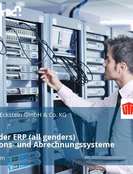 Team Leader ERP (all genders) Transaktions- und Abrechnungssysteme - Kleinostheim