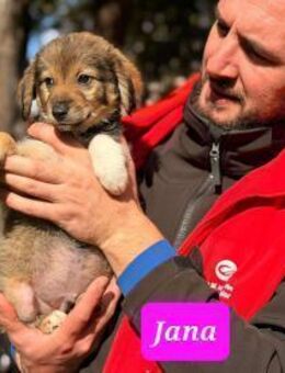 Kleine Jana♥️ sucht liebevolle Familie - Seggebruch
