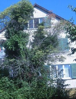 3-Familienhaus in Stuttgart-Vaihingen - Stuttgart
