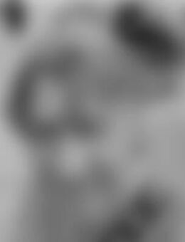 JTG*** - Bad Säckingen