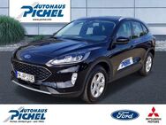 Ford Kuga Plug-In Hybrid Cool&Connect WINTER-PAKET - Rochlitz