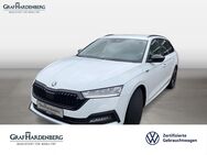 Skoda Octavia, 2.0 TSI Combi Sportline, Jahr 2024 - Offenburg