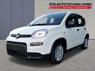 Fiat Panda, Pandina Hybrid digi Musikstreaming, Jahr 2024 - Bamberg