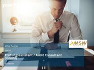 Prüfungsassistent / Audit Consultant (m/w/d) - Berlin
