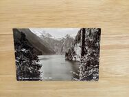 Ansichtskarte-AK-692-Der Königssee vom Malerwinkel. - Nörvenich